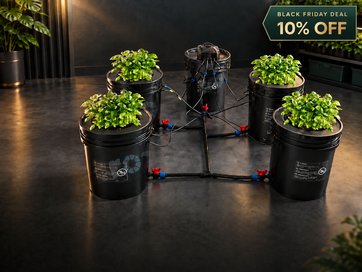 DWC Hydroponic Systems