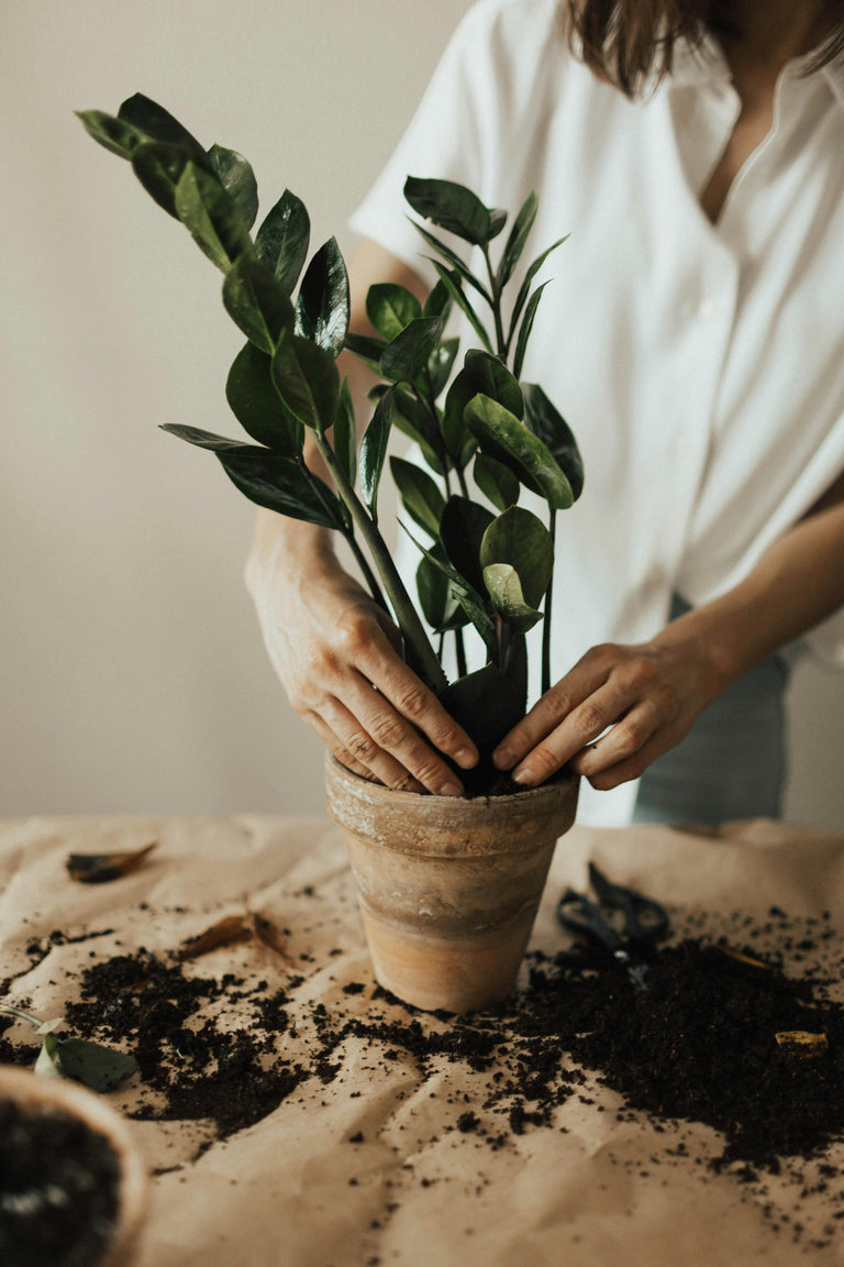 Grow Pots & Trays