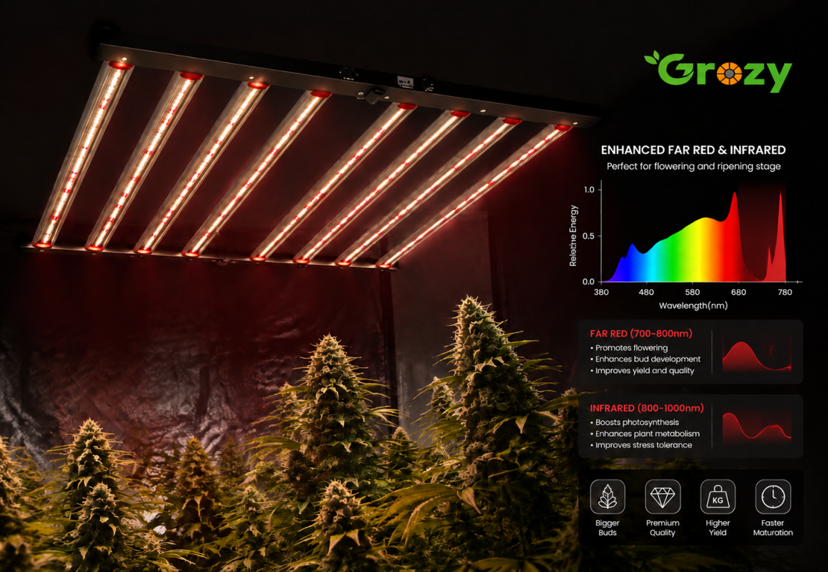Infrared (IR)
Enhances late-stage growth performance.