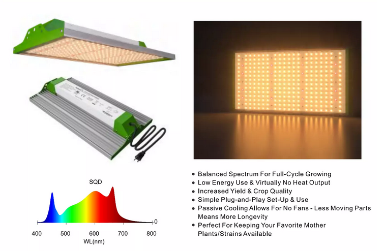 GR 100W Quantum LED Grow Light Sunlike Full-Spectrum Fit All Stages Plant