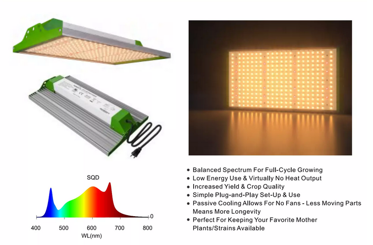 mother plant spectrum grow lights GR 100W Quantum LED Grow Light Sunlike Full-Spectrum Fit All Stages Pl