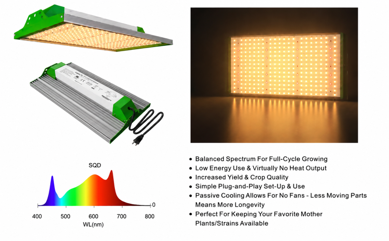GROZY 100x100x200cm Grow Tent Mode Q 100W LED Grow Light Fan Ventilation Kit DWC System Combo