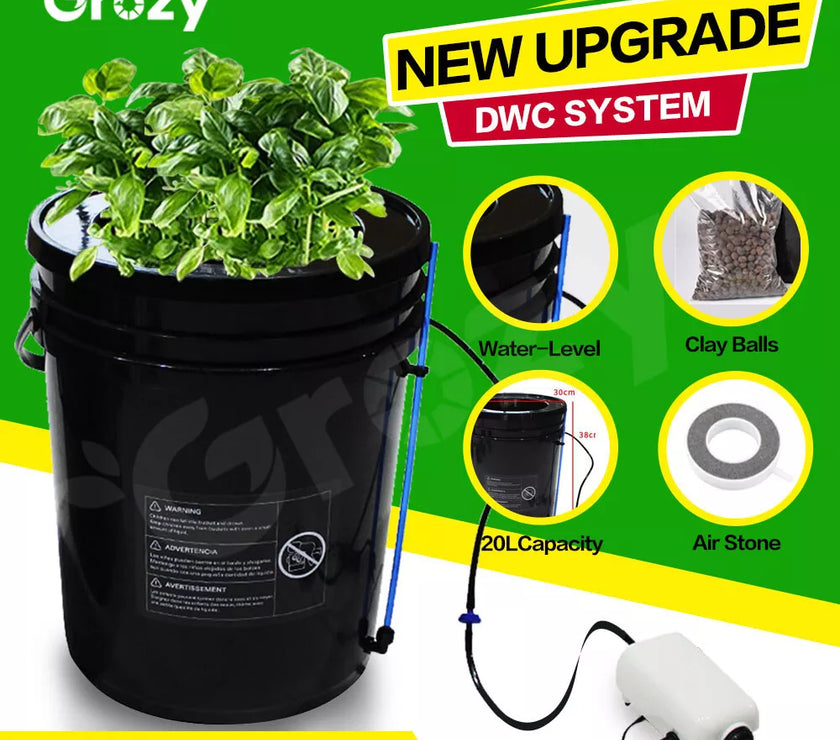 GROZY Model Q 100W LED Grow Light 60x60x140cm Tent 4" Ventilation Kit DWC System Combo