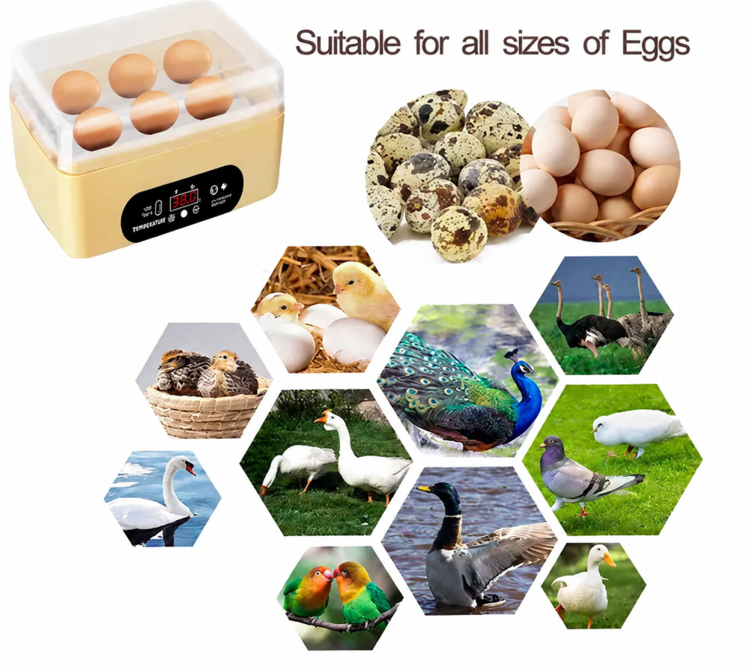 6 Egg Incubator Tray Hatcher with Fully Automatic Egg Turning & Humidity Control