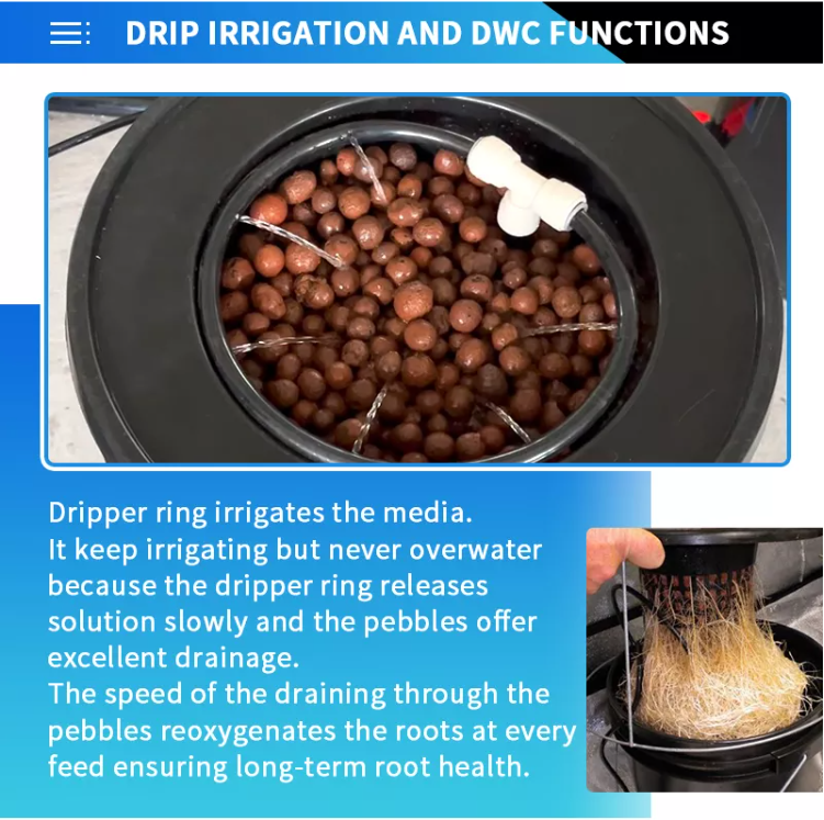 Hydroponics DWC & Drip Recirculating Growing System 4 Plant Buckets Complete Kit