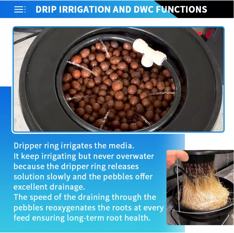 Hydroponics Dwc Drip Recirculating Growing System 4 Plant Buckets Co