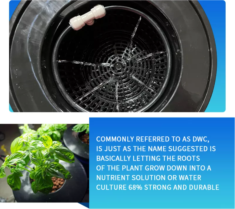 Hydroponics DWC & Drip Recirculating Growing System 4 Plant Buckets Complete Kit