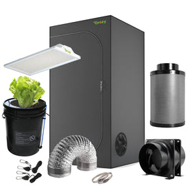 Grow Fresh Plants At Home — All Year Round