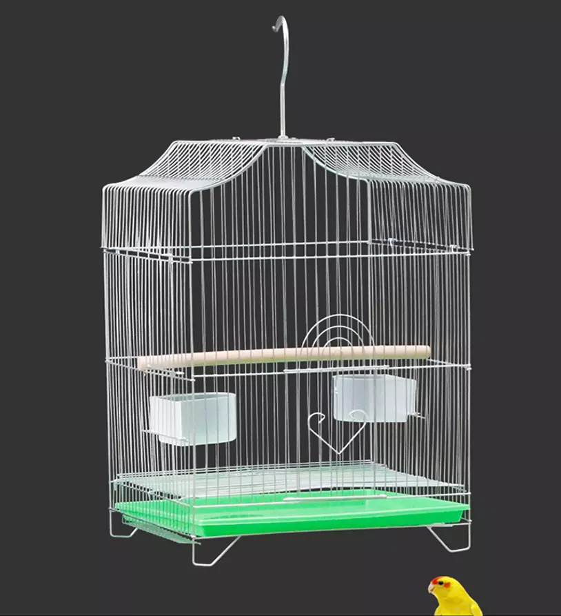 55cm Hanging Parrot Cage Cockatiel Aviary Pet Budgie Metal Frame Small Bird Cage