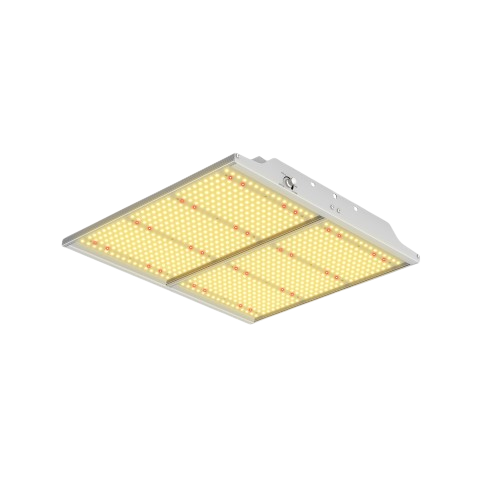 GR 200W Full Spectrum Quantum LED Grow Light for Indoor Grow (Square Shape)