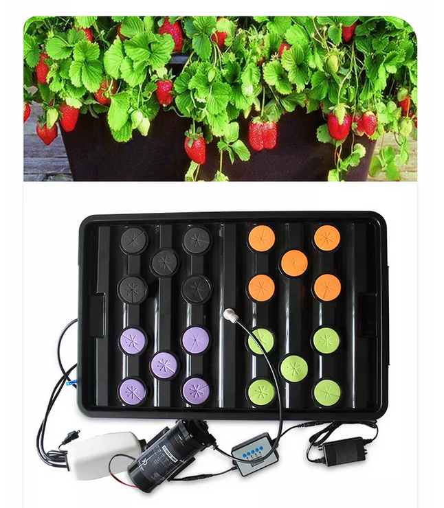 Hydroponics Aeroponics + DWC Growing System Clone Station Mist Pump Cycle Timer Complete Kit