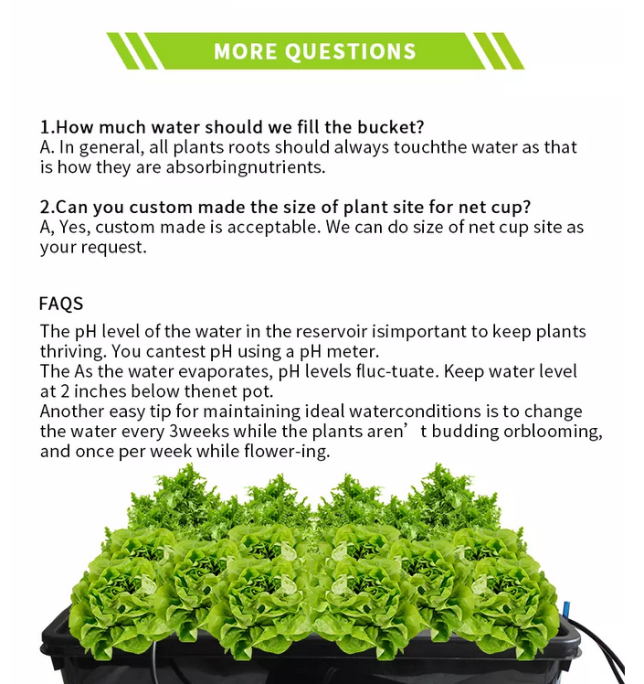 Hydroponics Aeroponics + DWC Growing System Clone Station Mist Pump Cycle Timer Complete Kit