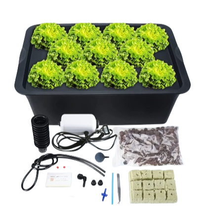 Hydroponics 6/8/11 Plants Complete DWC Growing Kits System Grow Vegetable Fruits