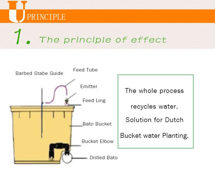 Hydroponics Drip Growing System Dutch Buckets DWC Completed System Aquaponics