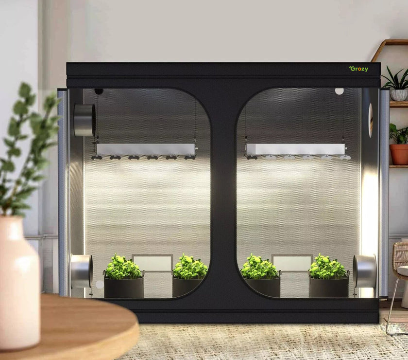 240 x 120 grow tent GROZY 240x120x200cm Grow Tent with Green Window for Hydroponics Growin