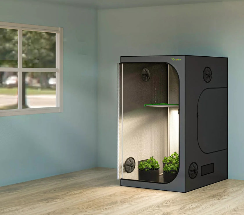 80x80x160 grow tent Grozy 80x80x160cm Grow Tents with Green View Window for Hydroponics Gr