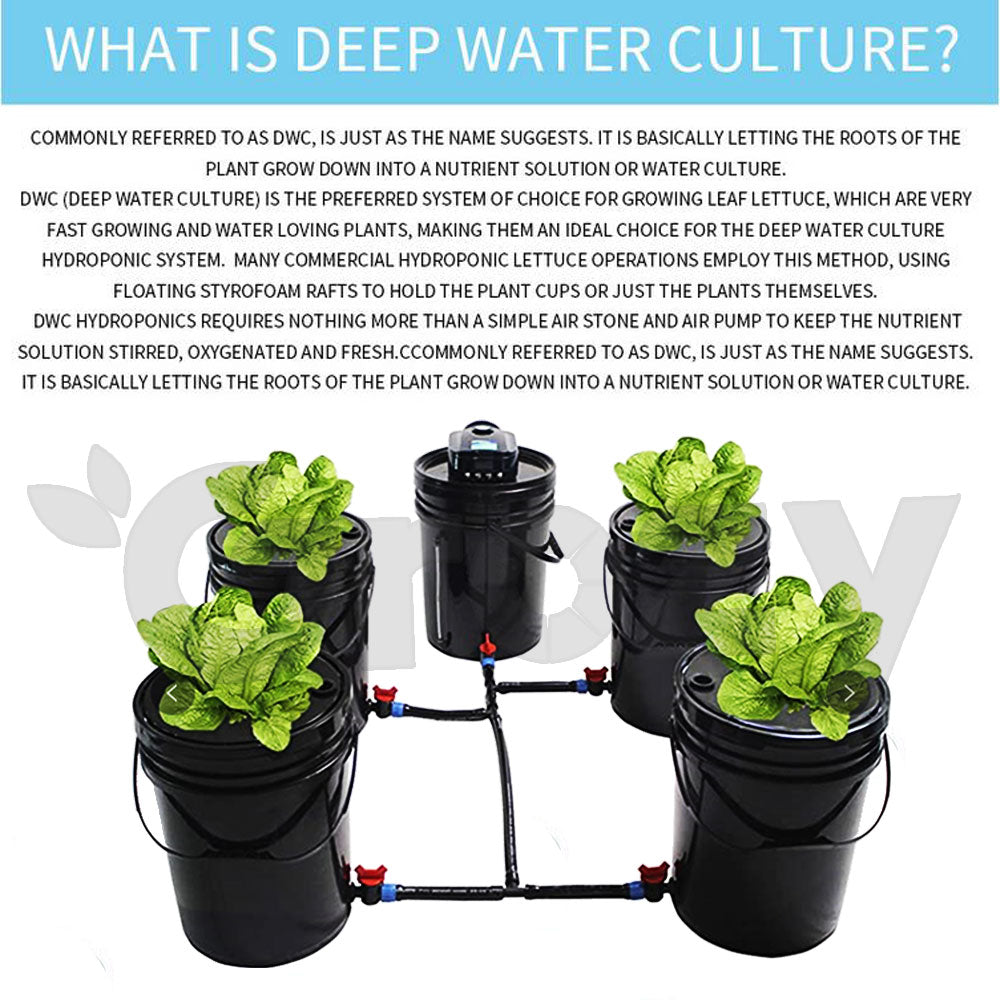 Hydroponics DWC Completed System 20L 5 Buckets Kit Roots Growing Bigger Harvest