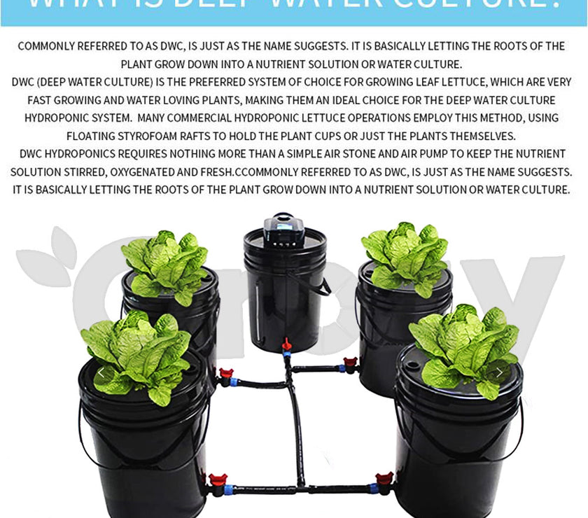 Hydroponics DWC Completed System 20L 5 Buckets Kit Roots Growing Bigger Harvest