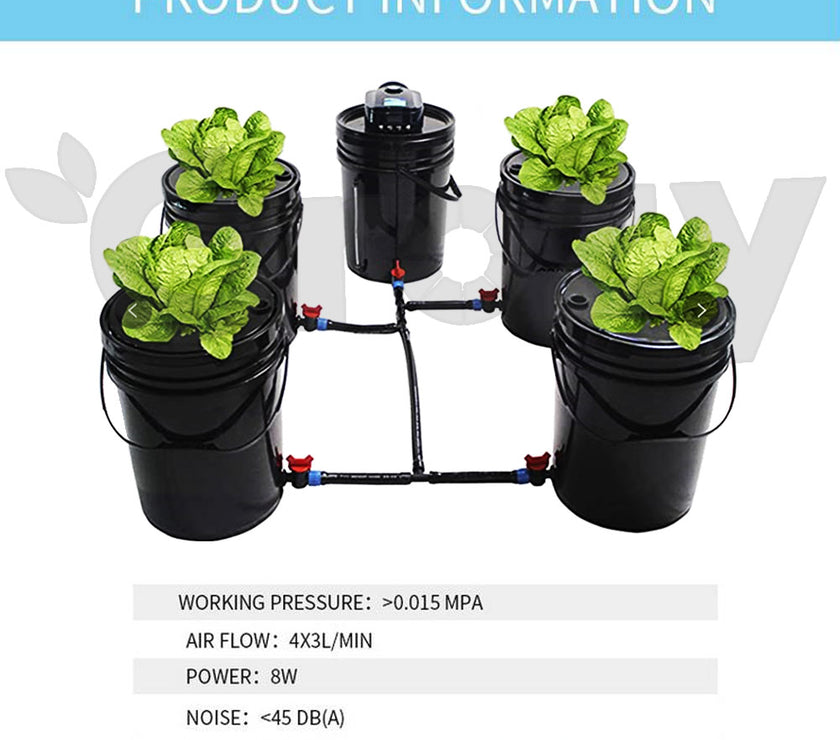 Hydroponics DWC Completed System 20L 5 Buckets Kit Roots Growing Bigger Harvest