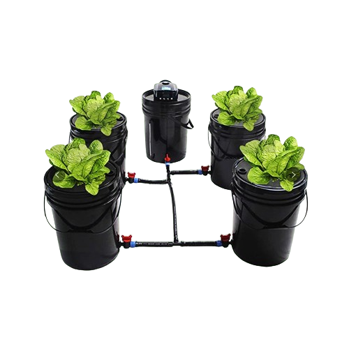 Hydroponics DWC Completed System 20L 5 Buckets Kit Roots Growing Bigger Harvest