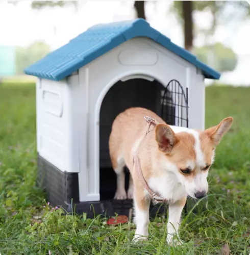 Pet Dog Kennel Outdoor Indoor Plastic Puppy Pet House Kennels Weatherproof L/XL
