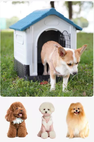 Pet Dog Kennel Outdoor Indoor Plastic Puppy Pet House Kennels Weatherproof L/XL
