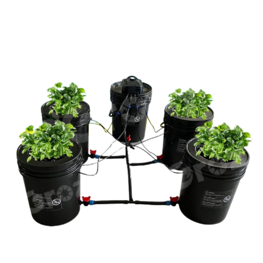 Hydroponics DWC & Drip Recirculating Growing System 4 Plant Buckets Complete Kit