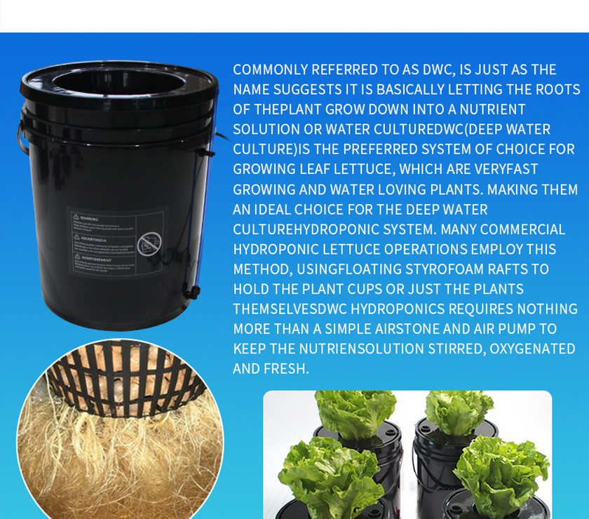 New Grozy 20L DWC Growing System Deep Water Culture Hydroponics Grow Bubble Kit