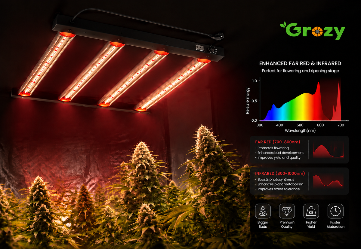 Infrared (IR)
Enhances late-stage growth performance.