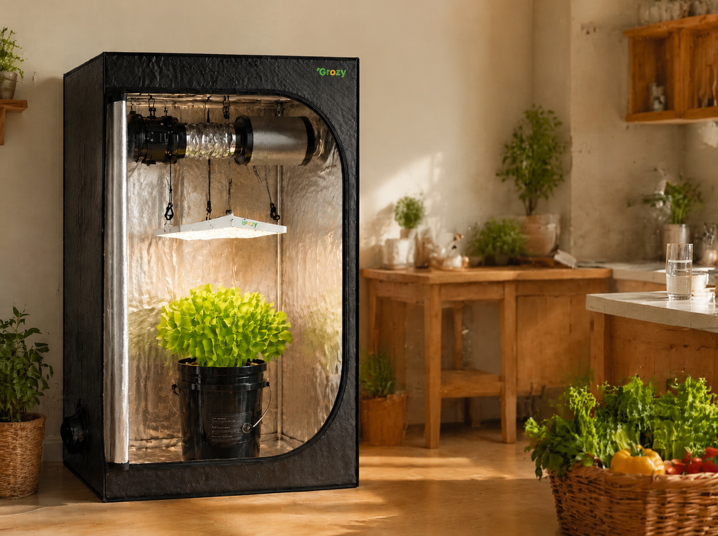 Grow Fresh Plants At Home — All Year Round