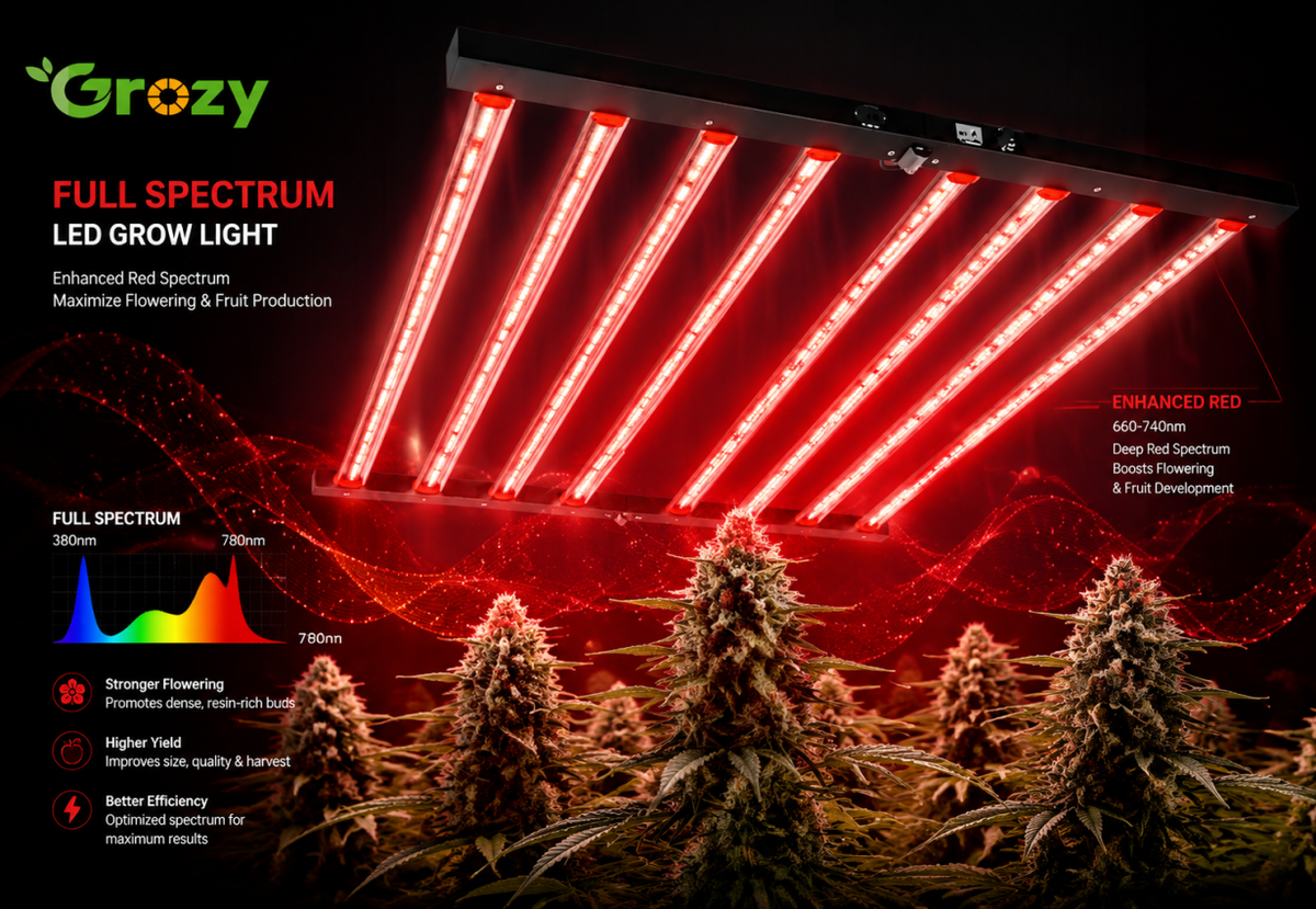Red Light
Supports flowering and fruit development.
