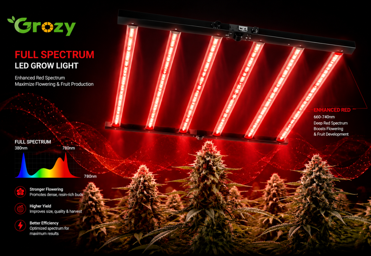Red Light
Supports flowering and fruit development.