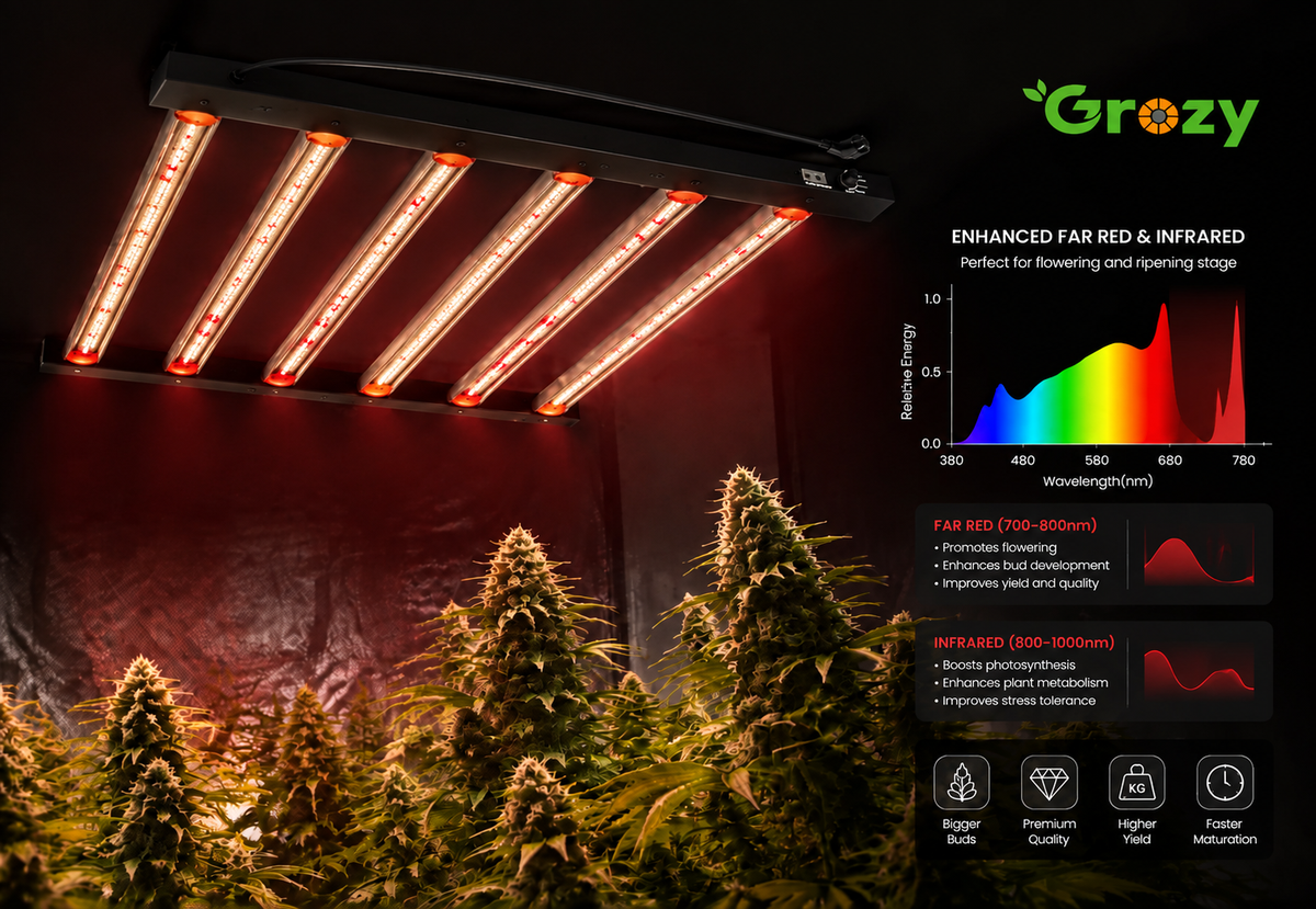 Infrared (IR)
Enhances late-stage growth performance.