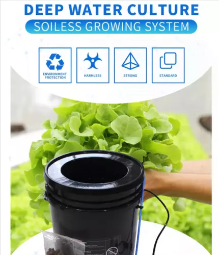 New DWC & Drip Irrigation Growing System Hydroponics Recirculating Drip Watering