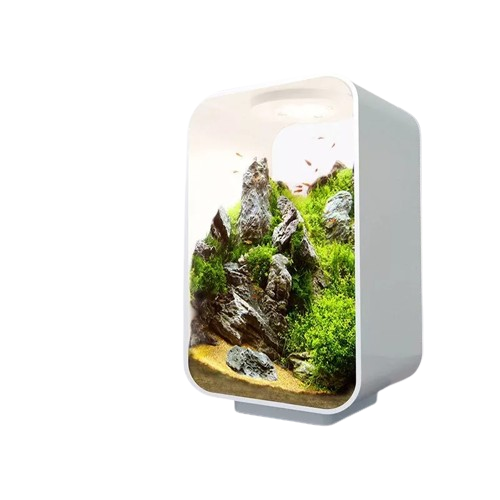 betta fish accessories australia Mini Acrylic Betta Fish Tank Desktop Smart Ecological Tank Aquarium Co