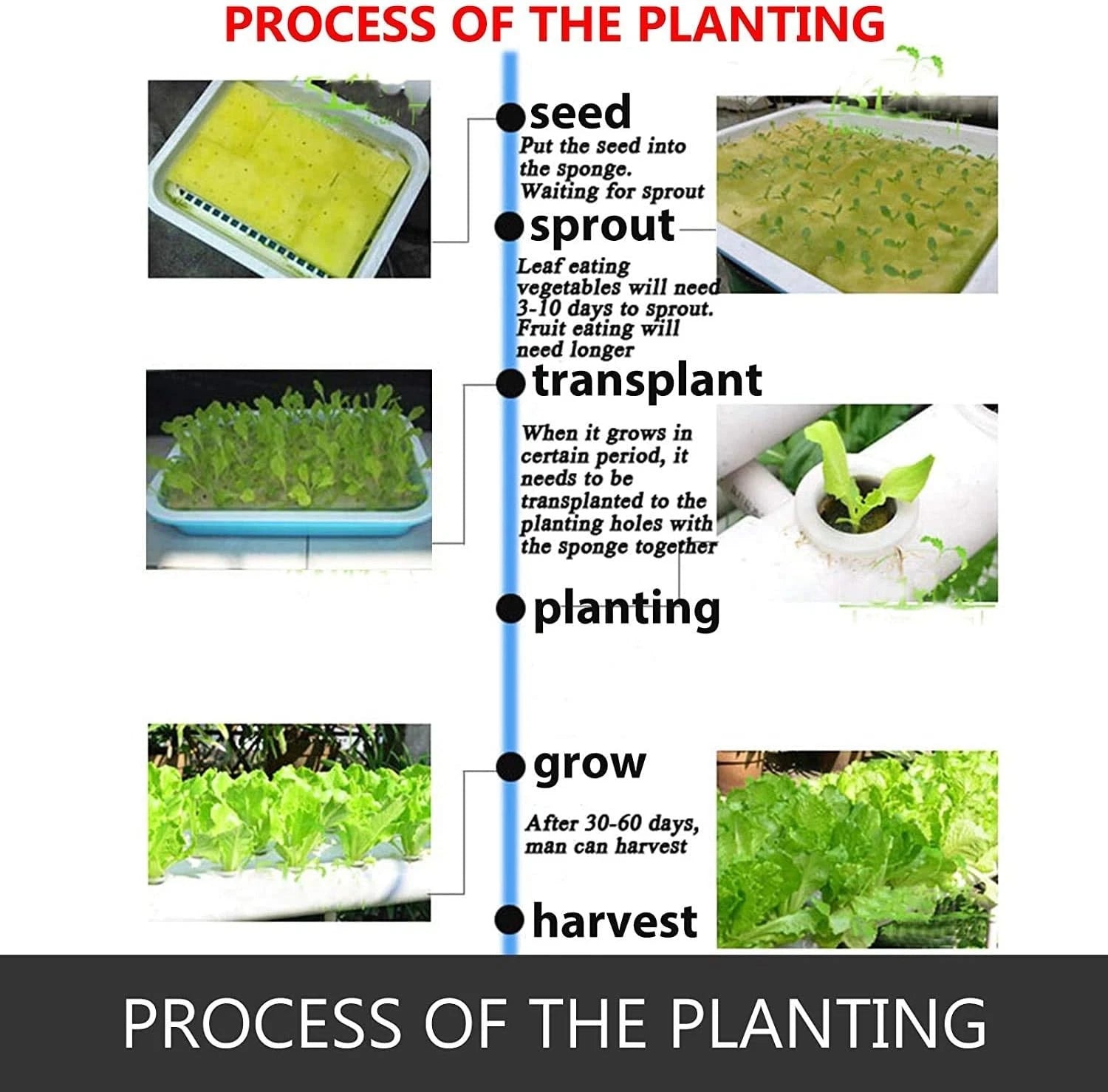 45/90/108/144 Sites Hydroponic NFT Grow System with Timer Water Tank Vegetable Planting Kit