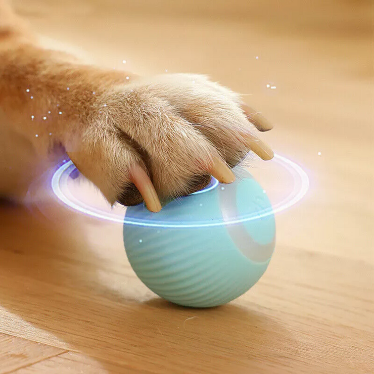 Smart Automatic Rolling Ball Cat Dog Pet Electric Self-Moving Interactive Toy