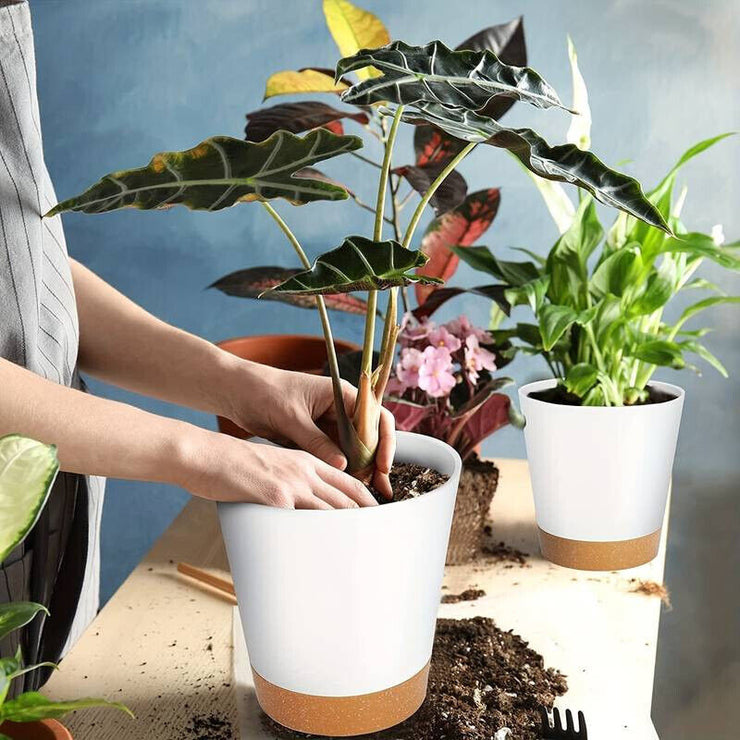 5PCS Self Watering Planters with Drainage Hole Veg Flower Succulents Plants Pot