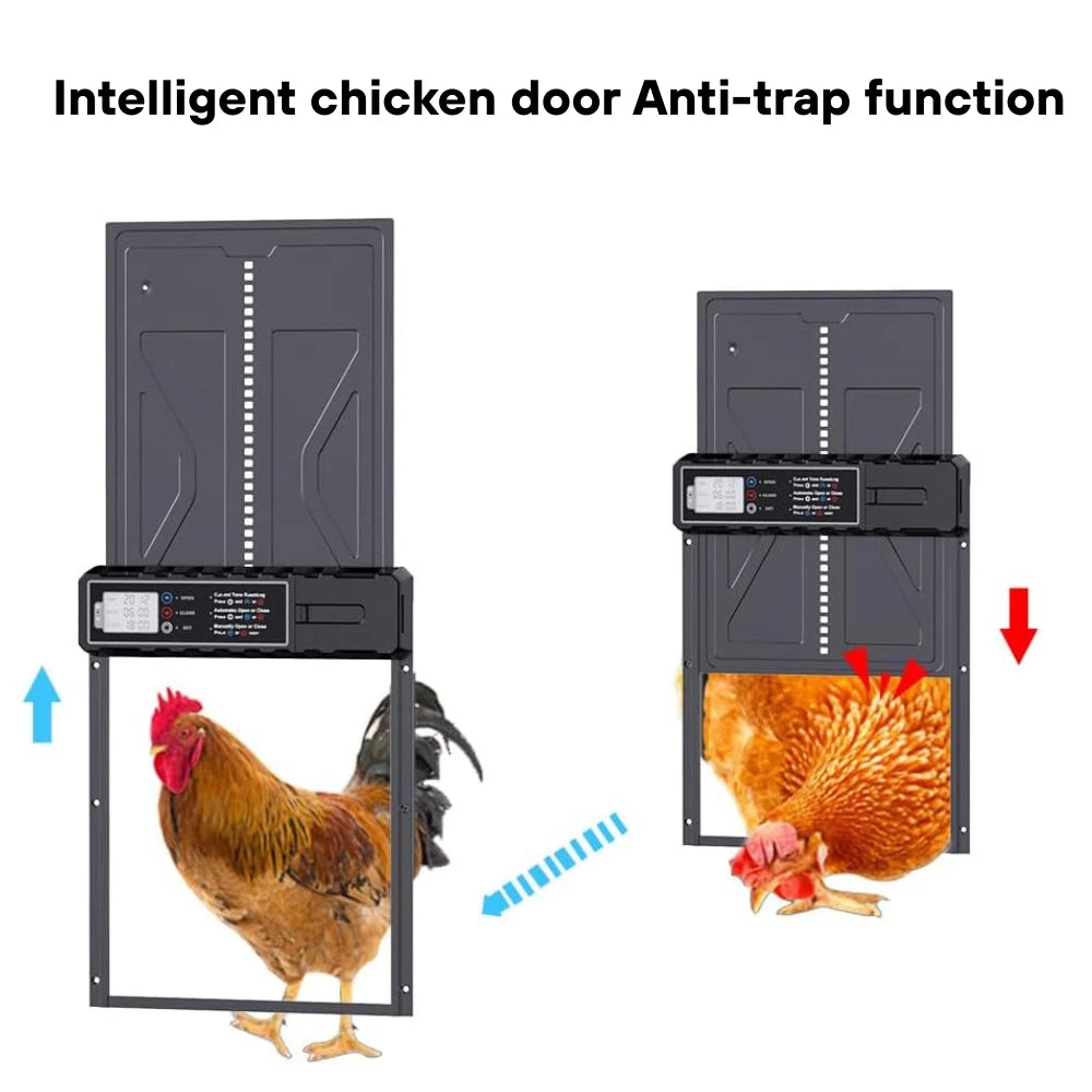 Large Chicken Coop Door Opener Automatic Timer Auto Light Sensor Remote Control