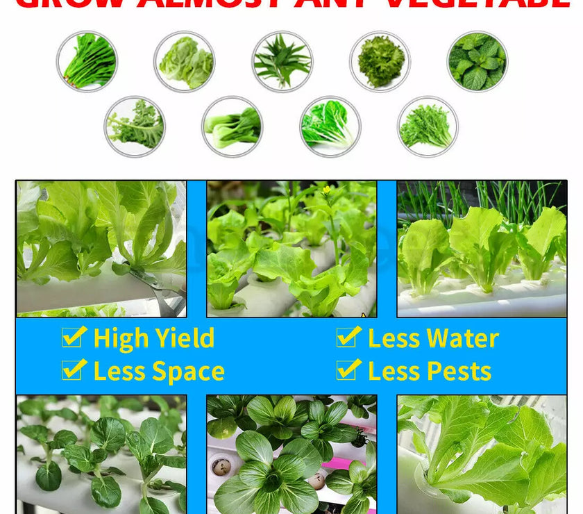 144 Plants Aeroponics Hydroponics Growing Tool Kits Vegetable NFT Growing System