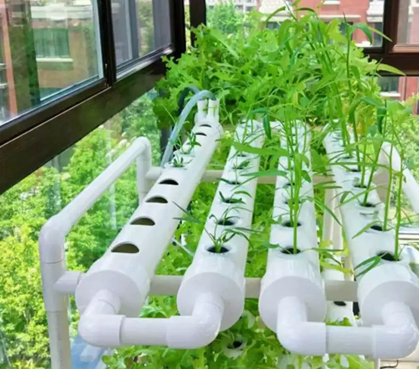 144 Plants Aeroponics Hydroponics Growing Tool Kits Vegetable NFT Growing System