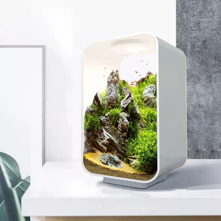 betta fish accessories australia Mini Acrylic Betta Fish Tank Desktop Smart Ecological Tank Aquarium Co